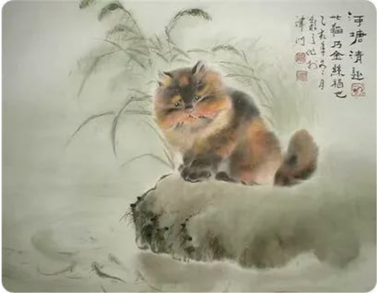 Китайские коты ГУ Йинчжи